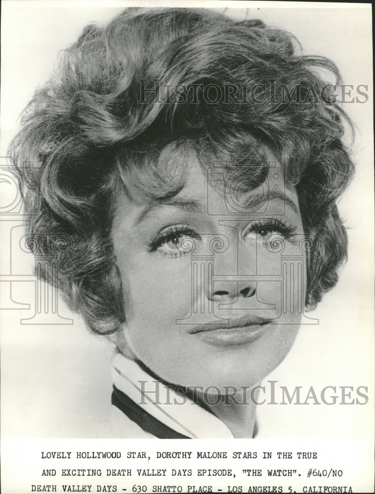 1962 Dorothy Malone/Actress/Academy Award - Historic Images