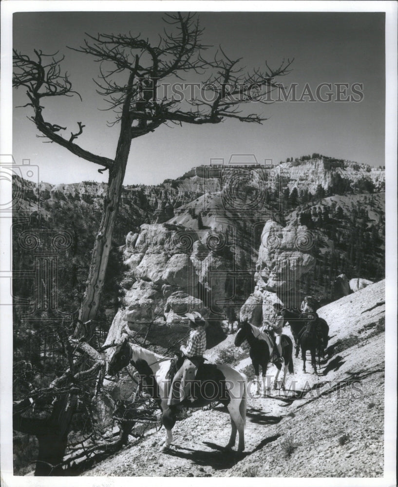 1980 Press Photo Bryce Canyon National Park Utah - RRU04785 - Historic Images