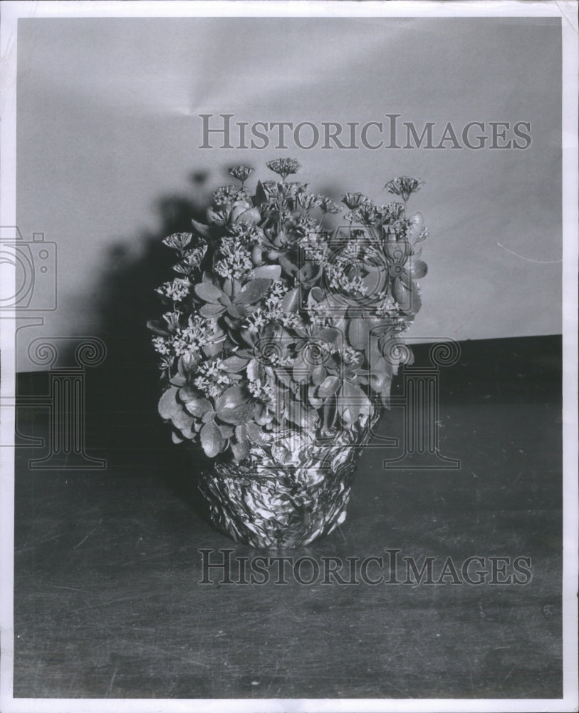 1956 Christmas Plant King Flowers Kalanchoe - Historic Images