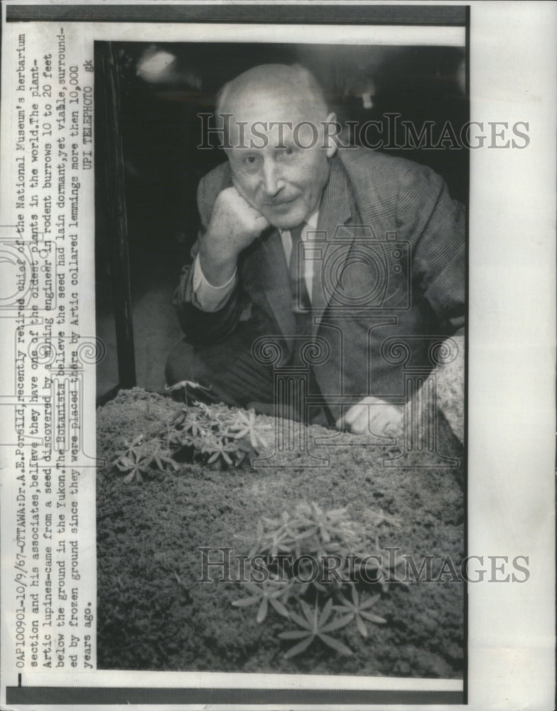 1967, Dr.A.E.Porsild Chief National Museum - RRU04897 - Historic Images