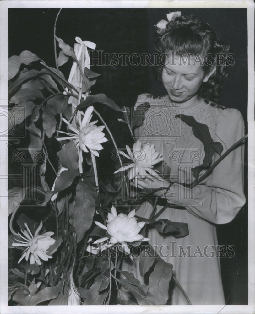 1941 Mrs Ernest Carr Tischer Cereus Cacatus - Historic Images