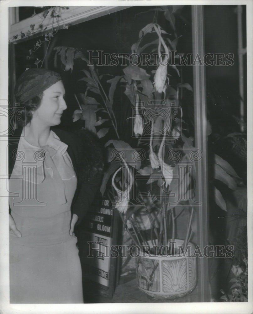 1934 Press Photo Cactus Plant flowers nature - RRU05873 - Historic Images