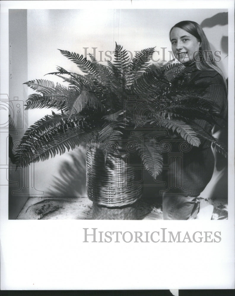 1976, Jacqui Carney Boston Areca palms Plant - RRU05891 - Historic Images