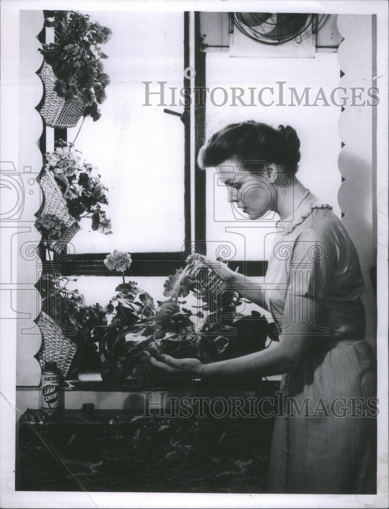 1958 House Plants Lady Garden Work Flower - Historic Images