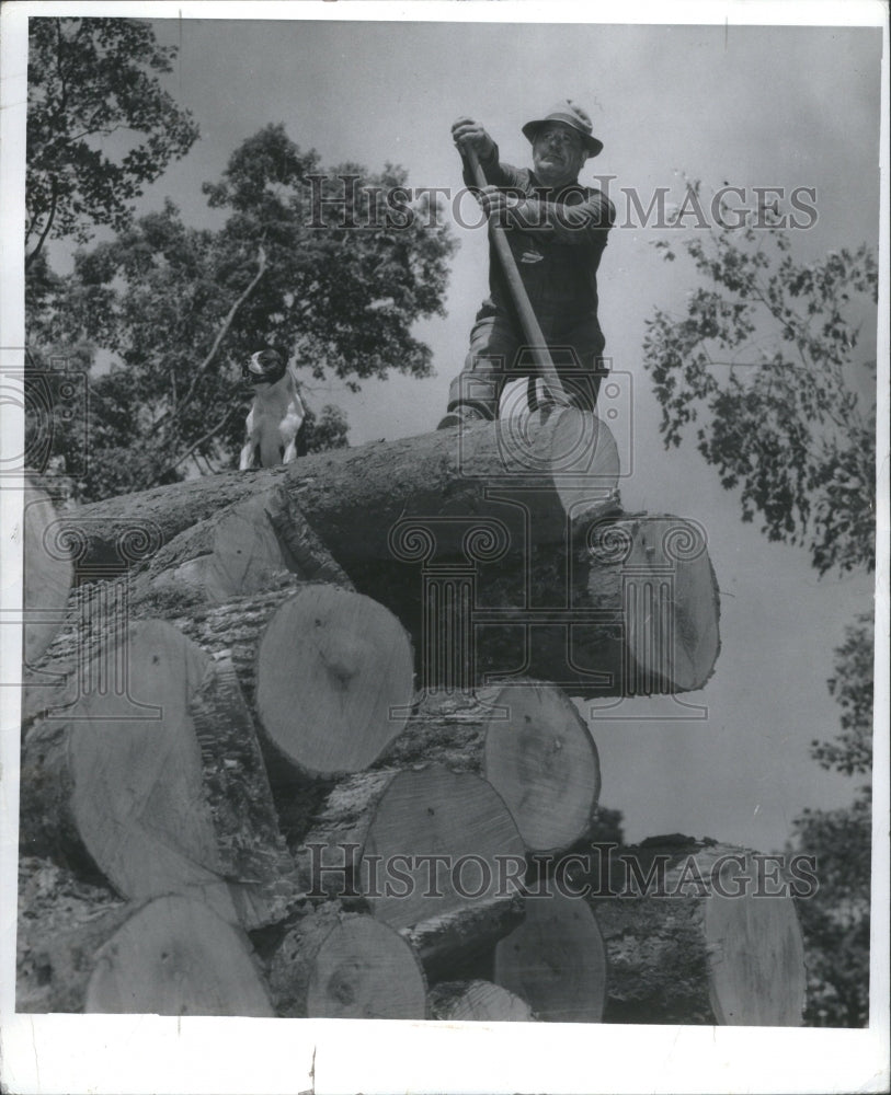 1942 Press Photo Lumberjack With Axe On Wood Pile - RRU07609 - Historic Images