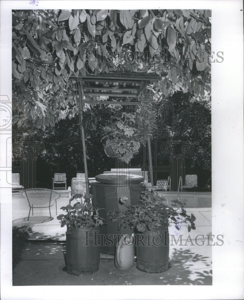 1979, Wishing Well Swimming Pool Plant - RRU09109 - Historic Images