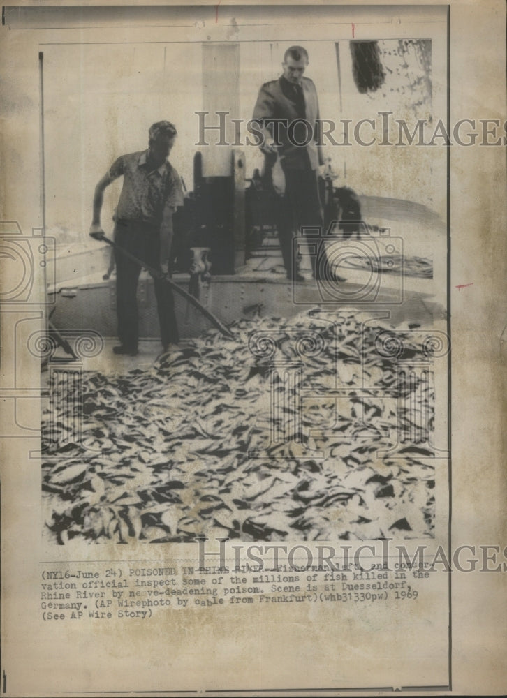 1969, millions of fish killed Rhine River - RRU09679 - Historic Images