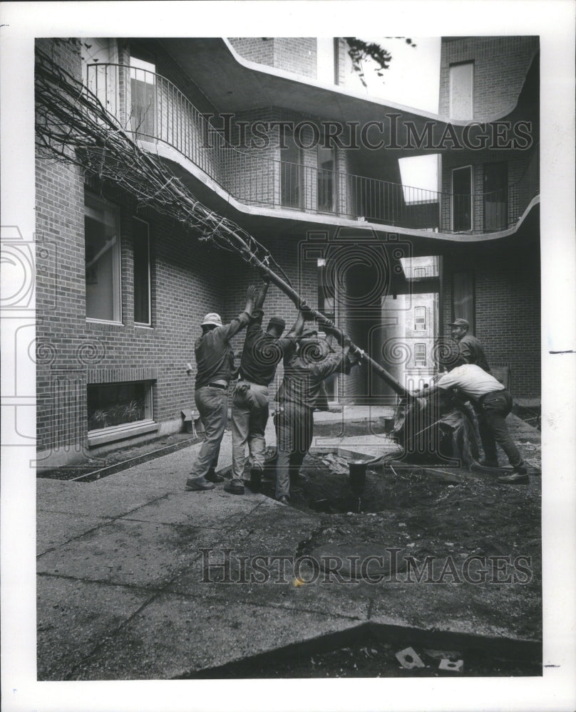 1971 Tree Power Central Courtyard Licoln - Historic Images