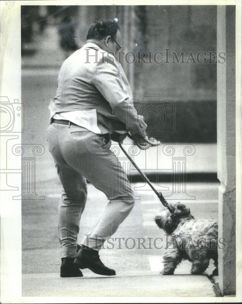 1982 Press Photo Man Walking Dog Chicago 25 mph winds - RRU13485 - Historic Images