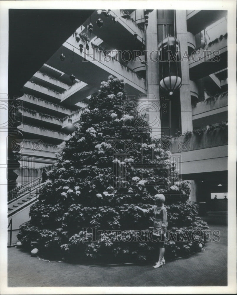 1971 Press Photo New Christmas Tree Debuts - RRU13645 - Historic Images