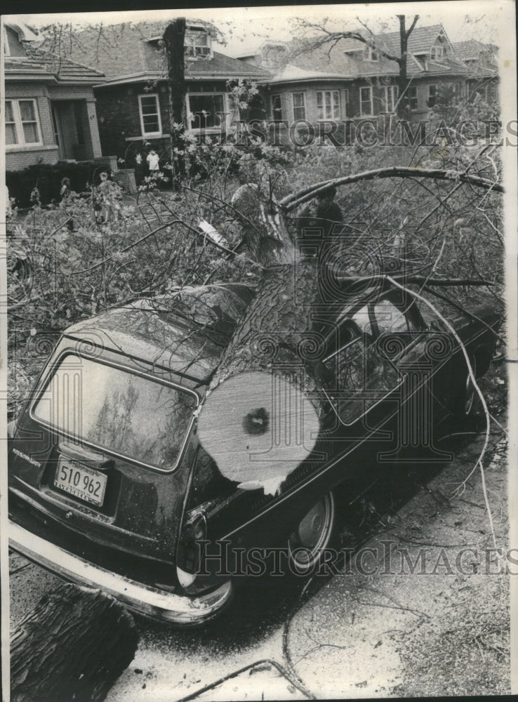 1970 Storm Damage Tree on Auto - Historic Images