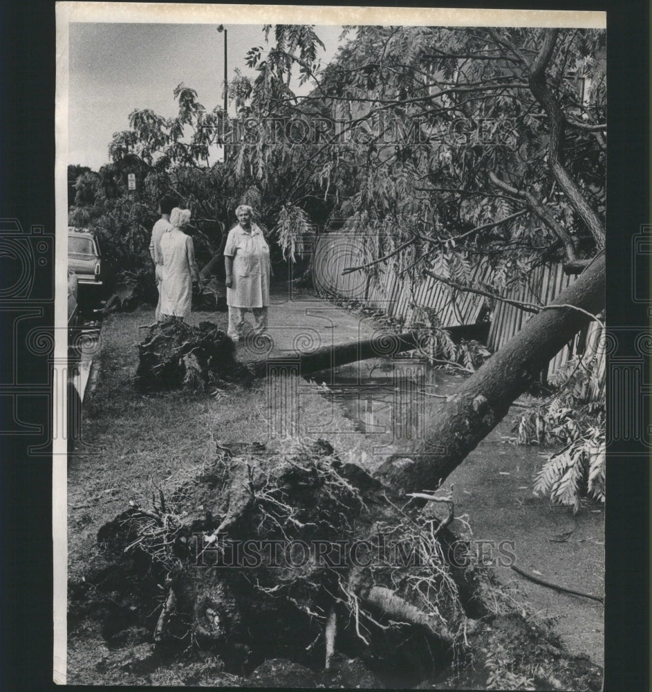 1970, Mary Krakausky Wind Storm Emerald - RRU13809 - Historic Images