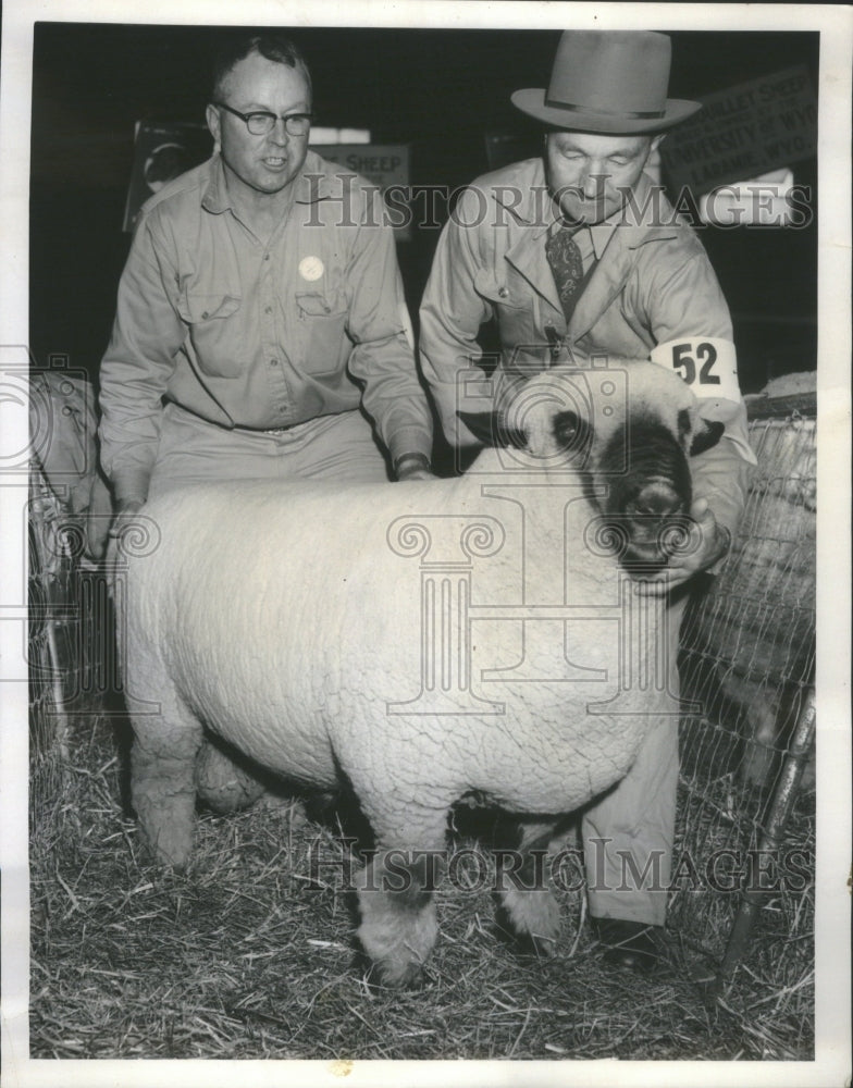 1959 Press Photo Champion Hampshire Ram James Davidson - RRU15335 - Historic Images