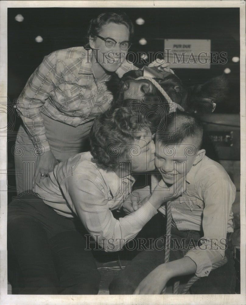 1961 Press Photo Summer Yearling Angus Class Rex Polloc - RRU15371 - Historic Images