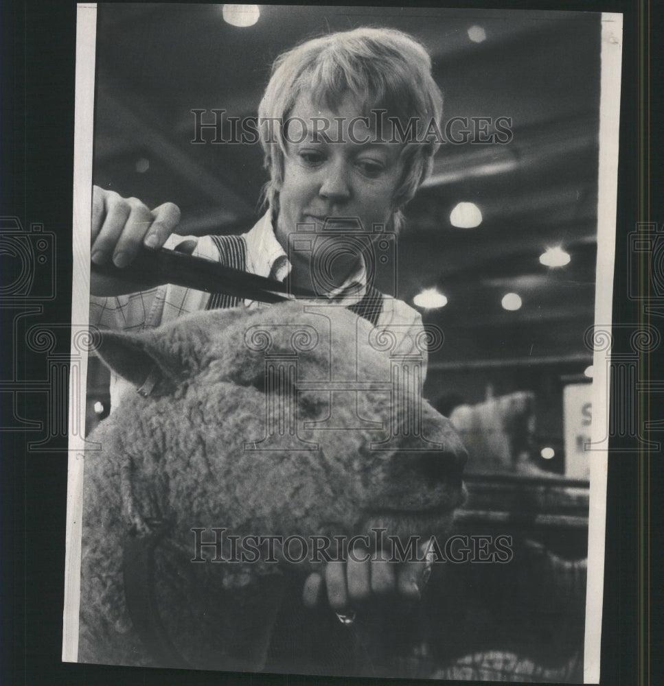 1971 Press Photo Wanting Judges Southdown ram Lamb - RRU15747 - Historic Images