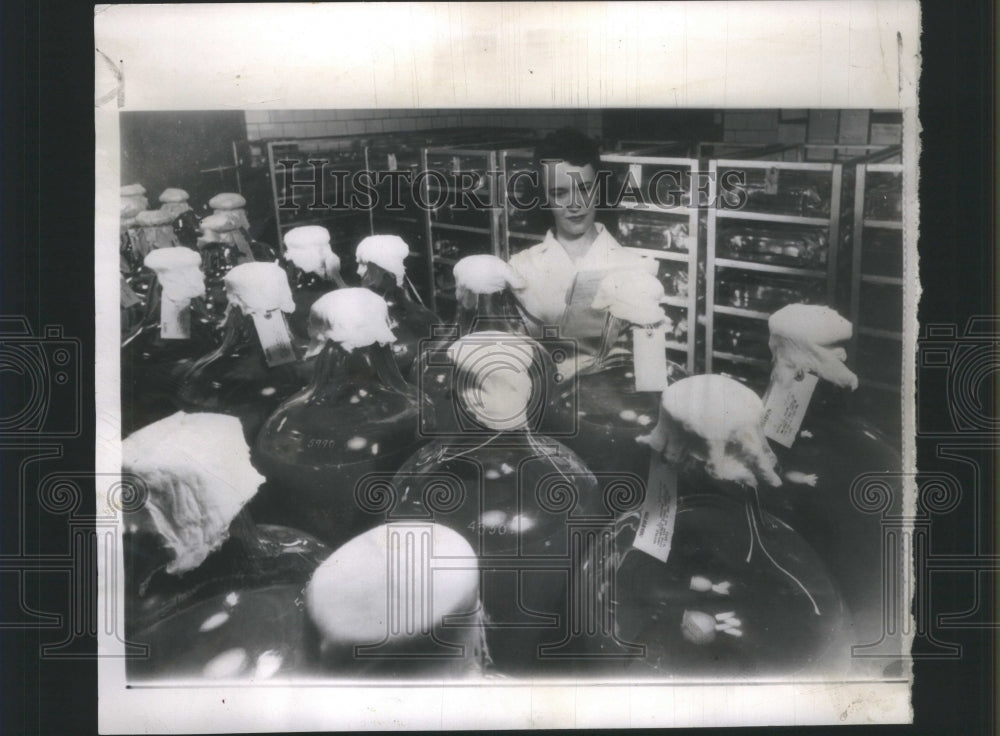 1953, Mrs Dorothy Cleary Influenza Vaccine - RRU16213 - Historic Images