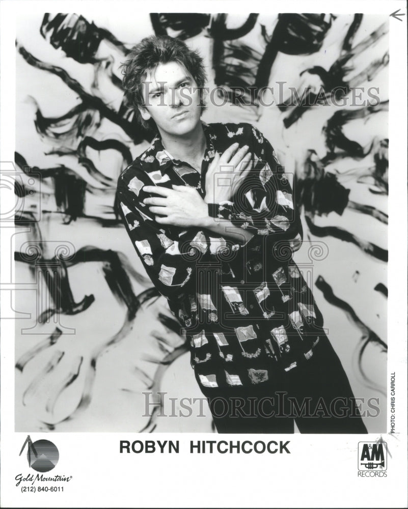 1992, Robyn Hitchcock Singer Guitarist Bass - RRU16469 - Historic Images