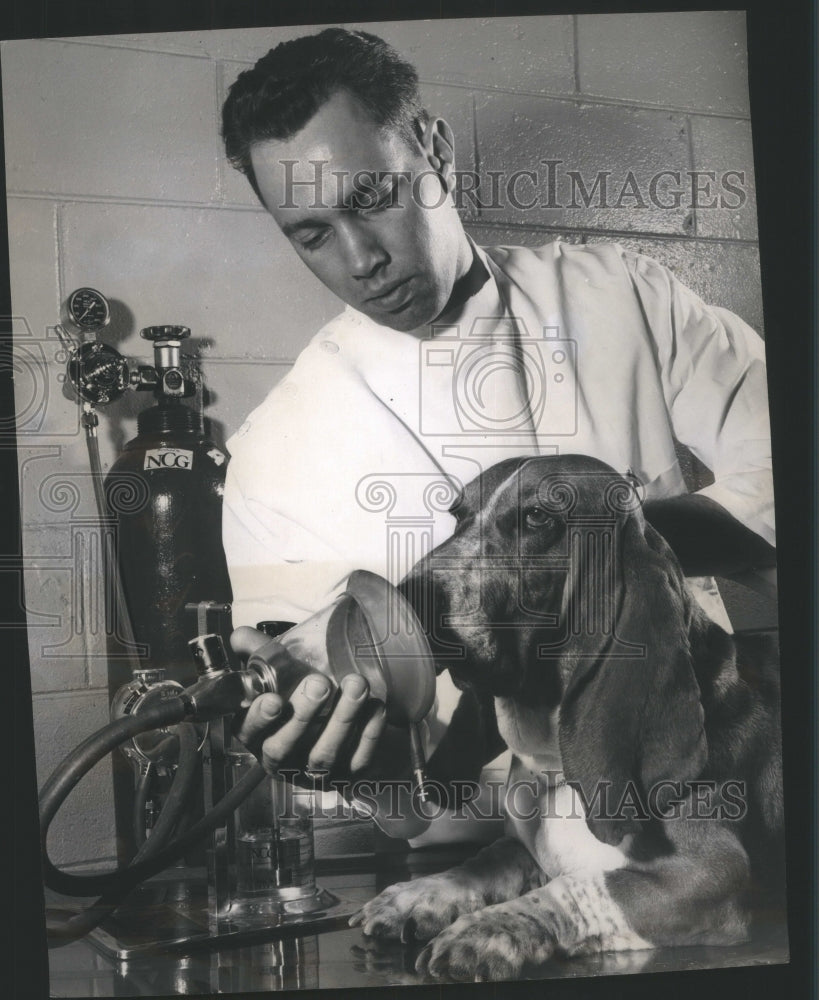 1957 Dog&#39;s Life being saved with resuscitat - Historic Images