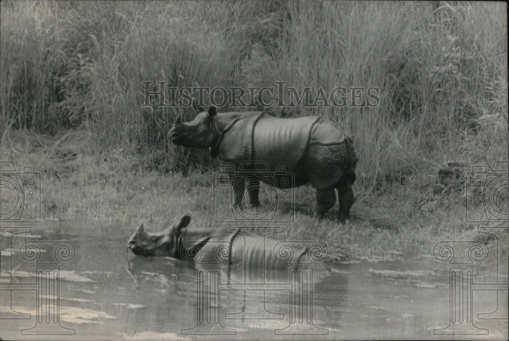 1973, Dr Charles Dougal Society - RRU24277 - Historic Images