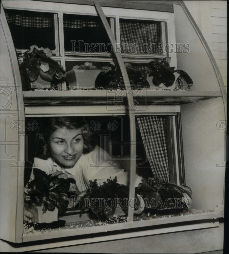 1962 Woman in her greenhouse window - Historic Images