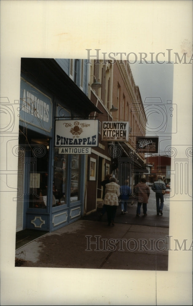 1982 View of Williamston street, Michigan - Historic Images