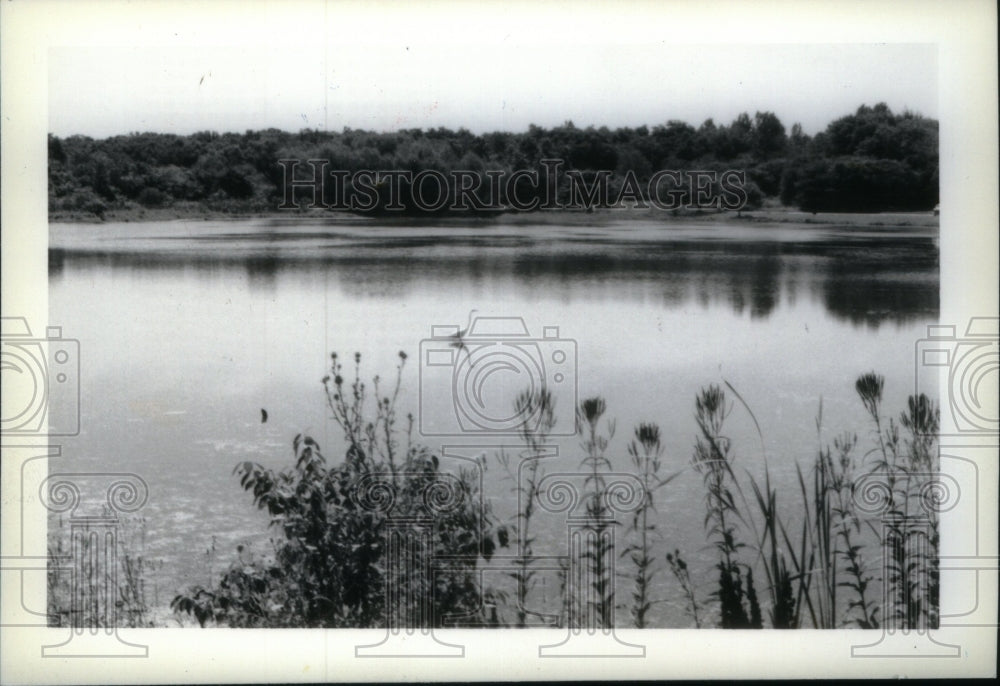 1981 Press Photo Long John Slough Cook County Forest - Historic Images