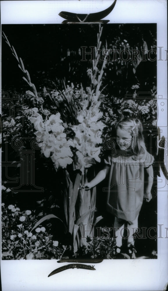 1973, Gladiolus Iris Family Sword Lily Plant - RRU33755 - Historic Images