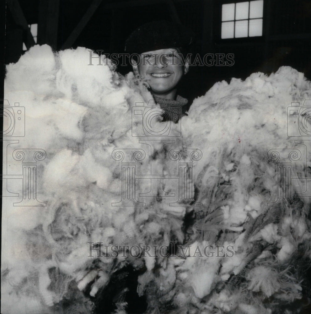 1951 Press Photo Boy Holding Sheared Long Staple Wool - RRU36963 - Historic Images