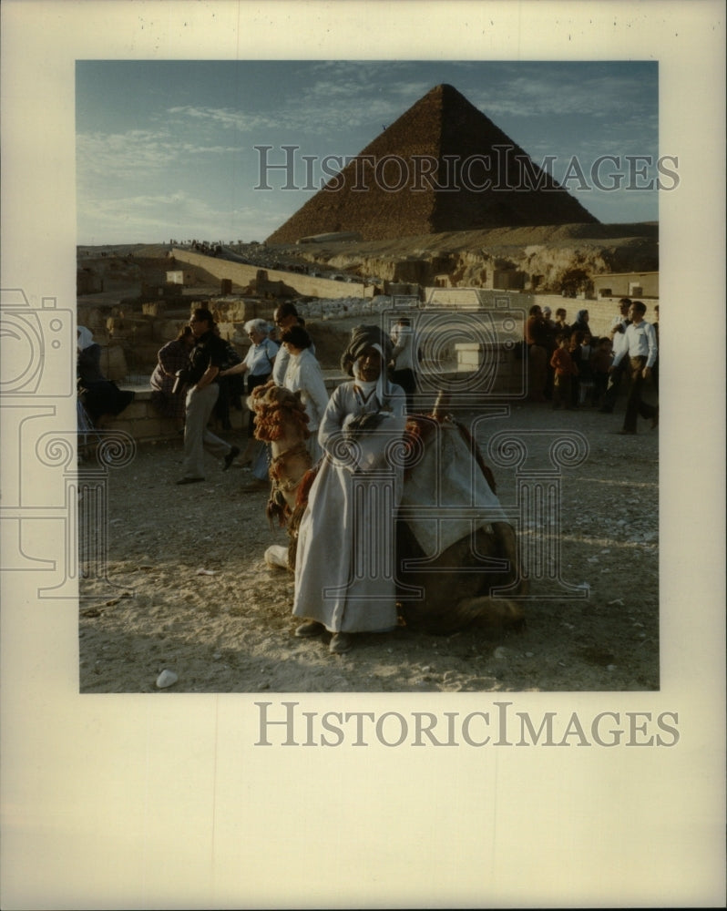 1984 Old Leans Camel Pyramids Giza Cairo - Historic Images