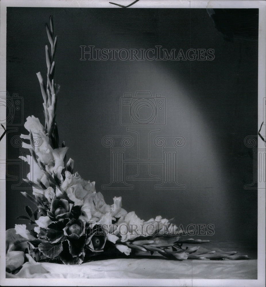 1960, Gladiolas Iris Sword Lily Flower Plant - RRU38301 - Historic Images