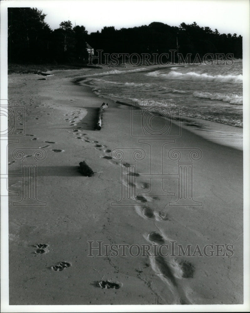 1987 Press Photo Lake Michigan Sand Water Nature - Historic Images