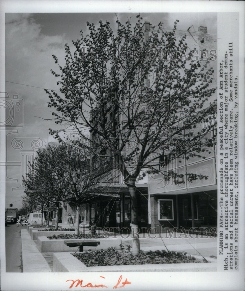 1970, promenade Ann Arbor Michigan section - RRU41019 - Historic Images