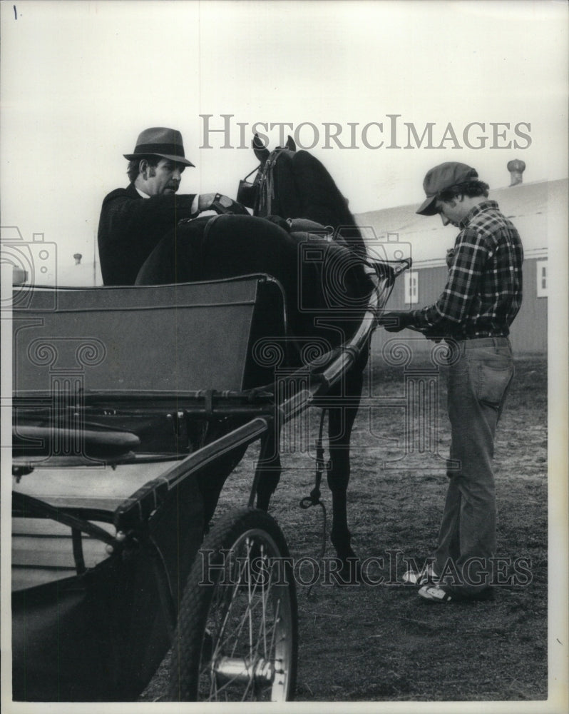 1981 Serendipity Strom Horse Animal Nature - Historic Images