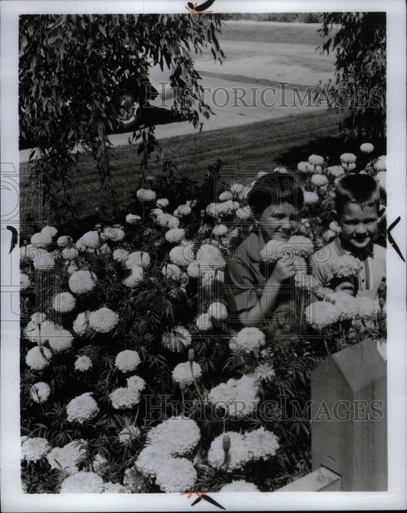 1969 Marisoins Gardens Enjoyment Plants - Historic Images