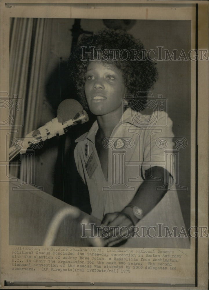 1975, Womens Political Caucus New Chair - RRU48667 - Historic Images