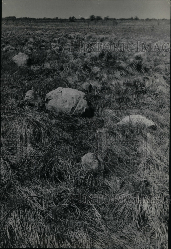 1969, Goose Cane Prairie Rock Boulders - RRU50321 - Historic Images