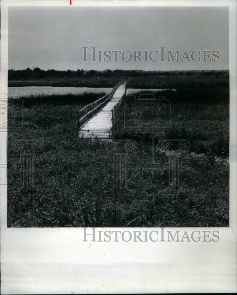 1983, Goose Lake Prairie State Park - RRU50323 - Historic Images