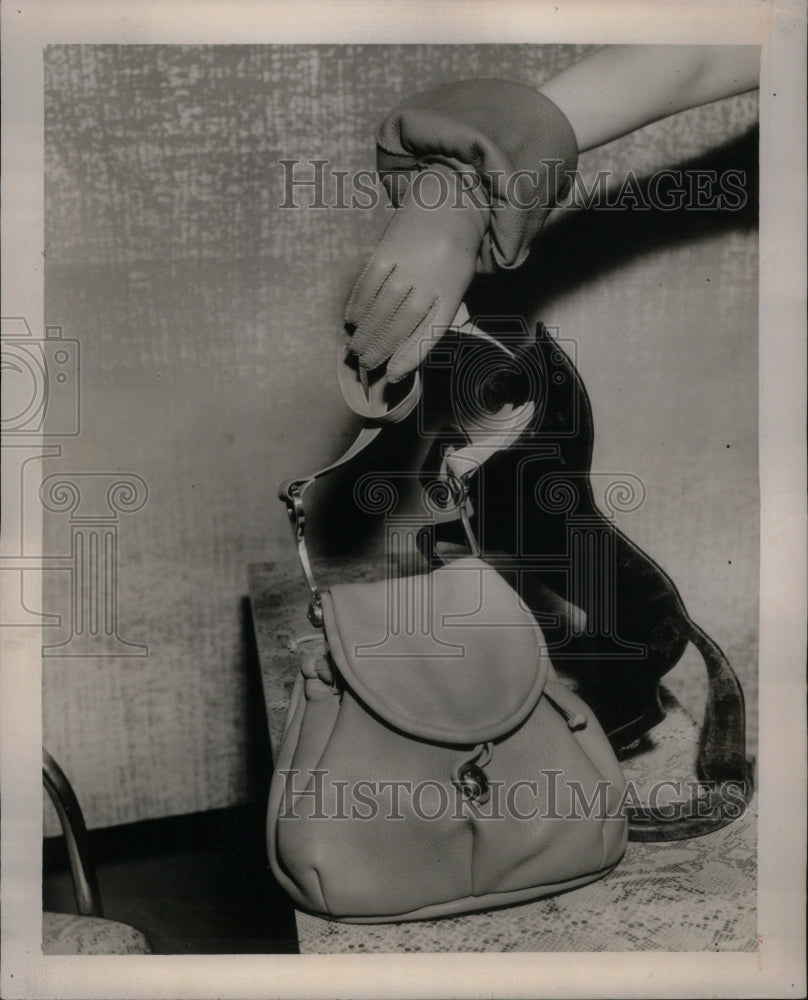 1951 Press Photo Horse Jane Benton handsome aluminum - Historic Images