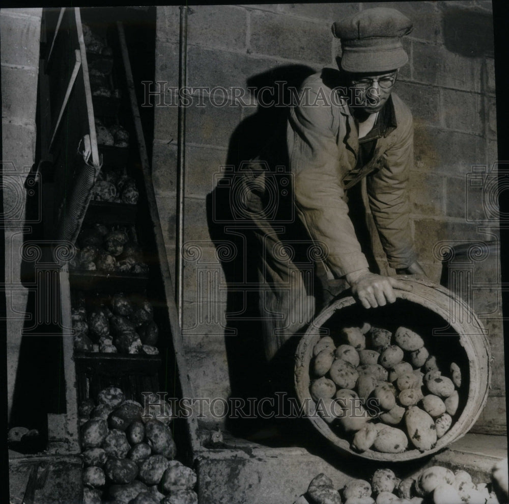 1950 Potatoes Start Washing  Moving Flight - Historic Images