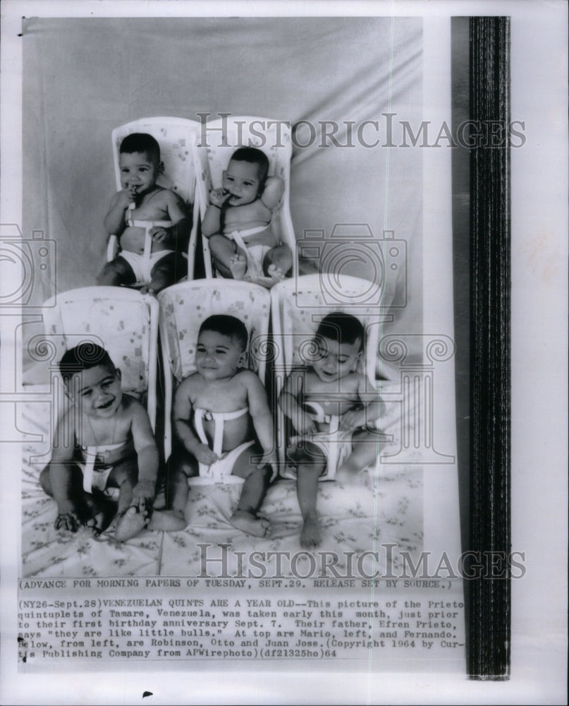 1964 Venezuelan Quints Prieto Temare Month - Historic Images
