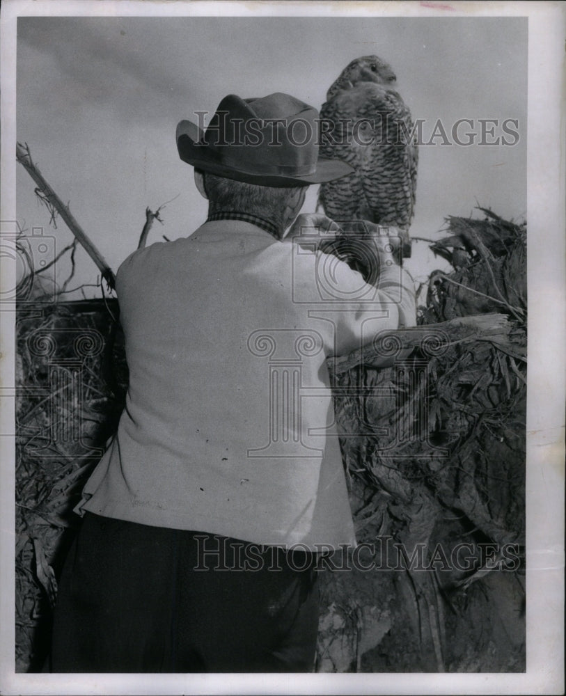 1957 Setting Up a Decoy  - Historic Images