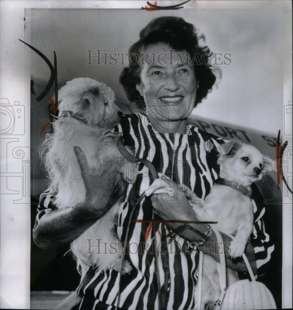 1964 Woman Holding Tibetan Terrier Puppies - Historic Images