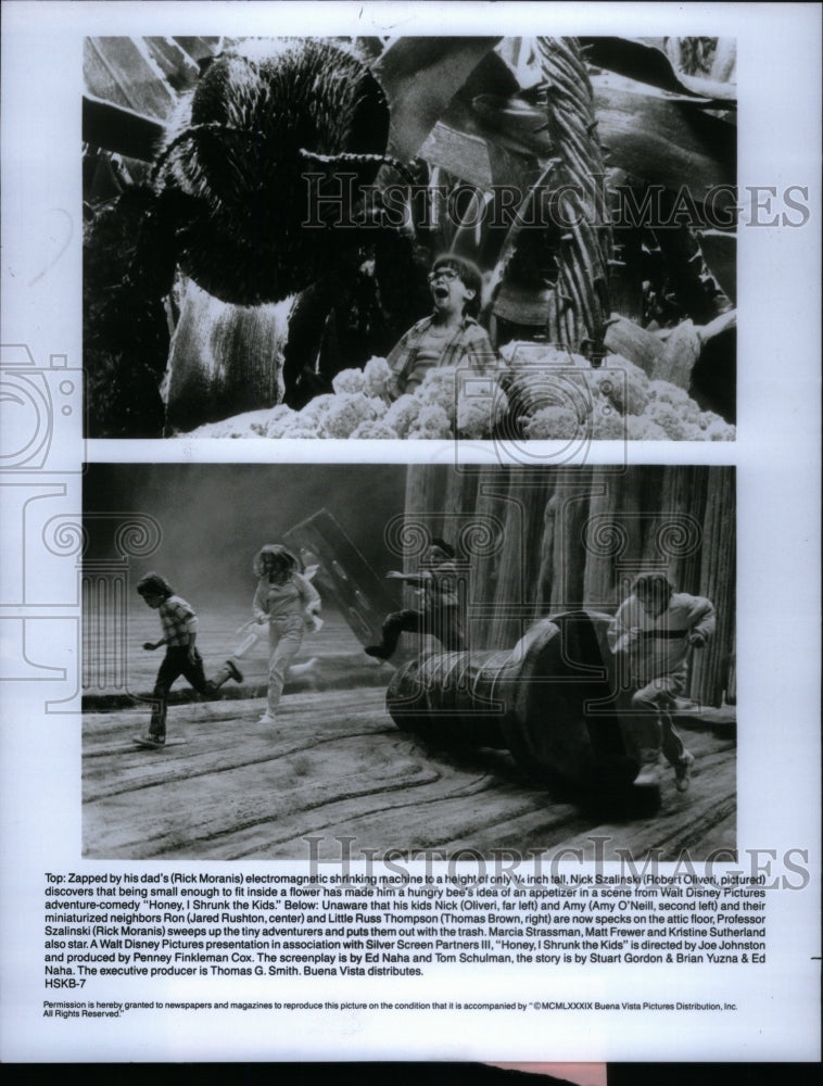 1995, Scene from honey, I shrunk the kids - RRU57649 - Historic Images