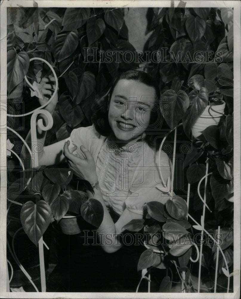 1952, Philodendron Cordatum plant housewife - RRU59107 - Historic Images