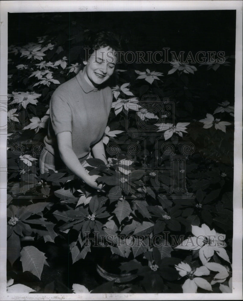 1959 Garfield Park conservatory Rita Caruso - Historic Images