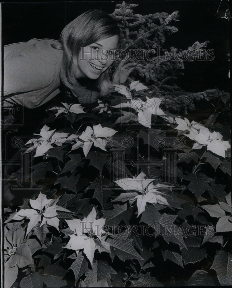 1969, Ann Gonia Poinsettias Park District - RRU59115 - Historic Images