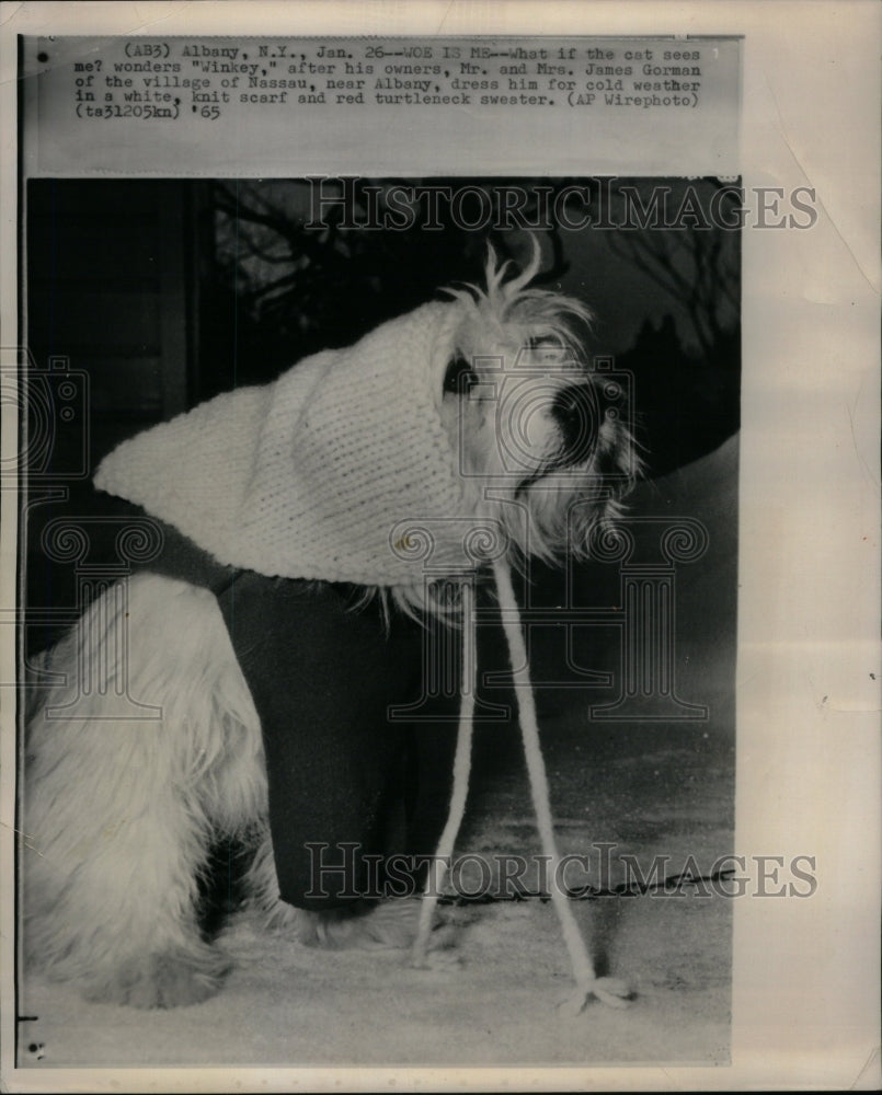 1965 Press Photo Mrs James Gorman Dress James Winkey - RRU59163 - Historic Images