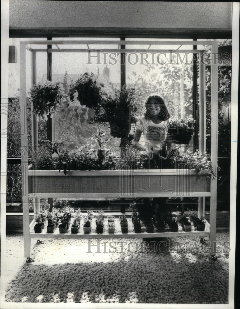 1978 Rolling Acre Houseplants Garding Fun - Historic Images