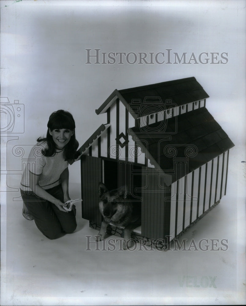 1975 Press Photo Dog House Kennel Dog Rest Room Chicago - RRU59197 - Historic Images