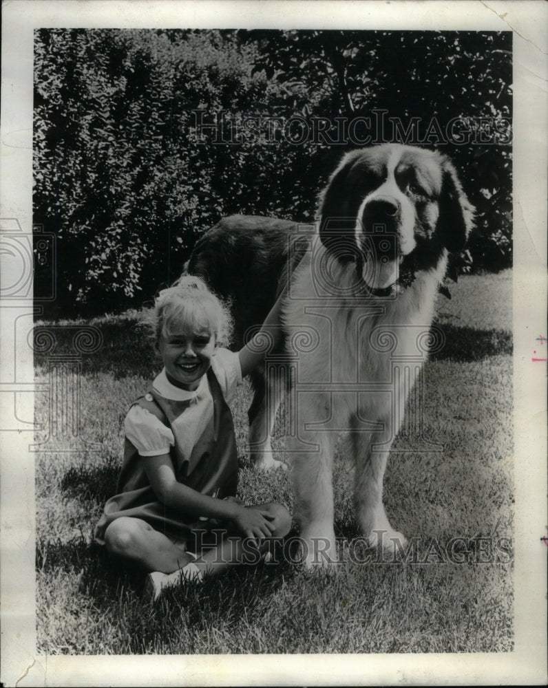 1975 Press Photo 3YearOld Saint Bernard Dog Little Girl - RRU59227 - Historic Images